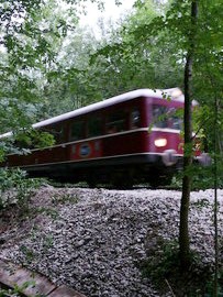 Triebwagen am Dammrutsch